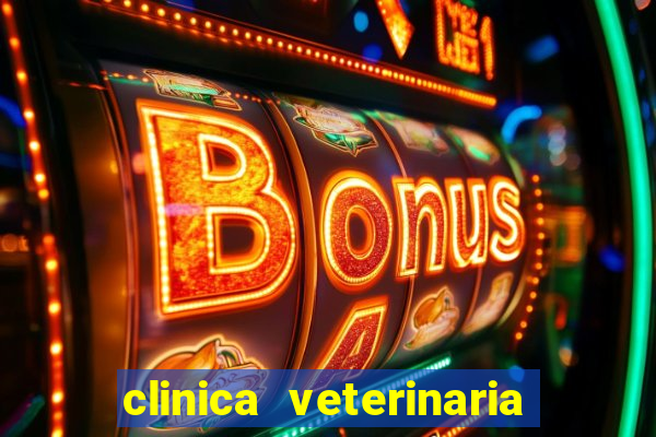 clinica veterinaria cuidar betim